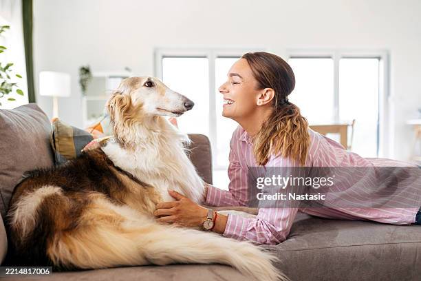 268 Borzoi Lady Stock Photos and High-Res Images - Getty Images