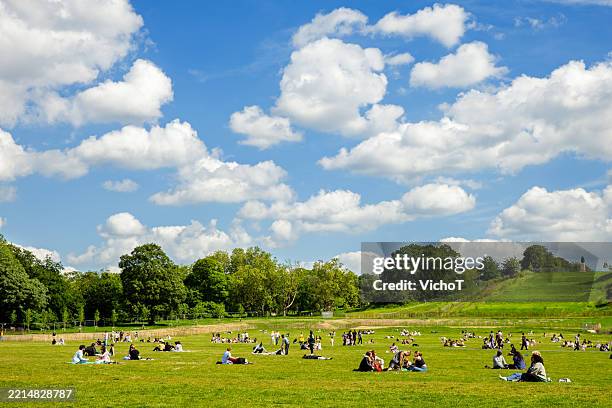 people relaxing on a sunny day at public park - beschermd natuurgebied stockfoto's en -beelden
