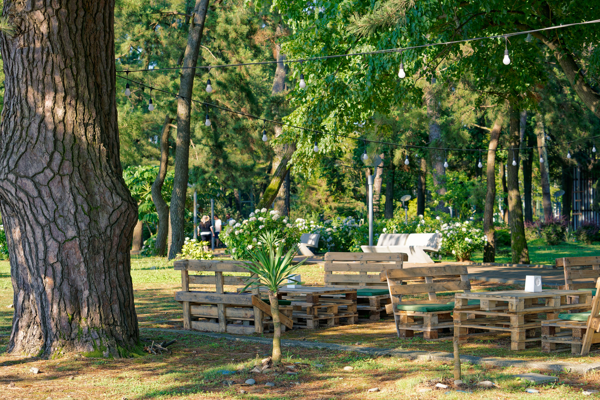 pallet picnic