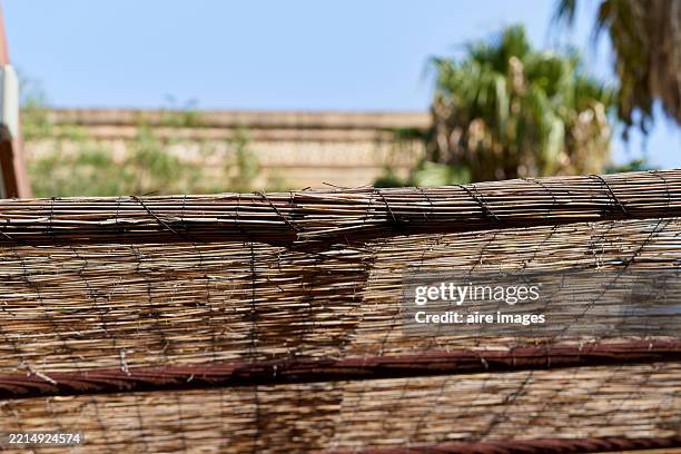 Bald Reed 166 Shade Reed Stock Photos, High-Res Pictures, and Images - Getty Images