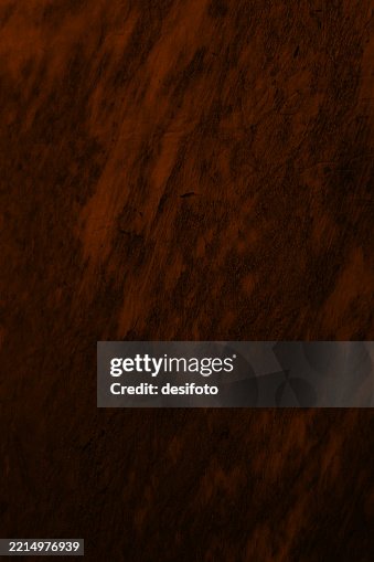 Rustic textured effect dark brown bronze colored blank three dimensional abstract vertical weathered vector backgrounds like crumpled handmade wrinkled crinkled paper or wooden tree trunk or wood plank texture Rustic textured effect dark brown bronze colored blank three dimensional abstract vertical weathered vector backgrounds like crumpled handmade wrinkled crinkled paper or wooden tree trunk or wood plank texture