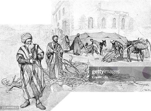 bedouin camp in bethlehem - bedouin stock illustrations