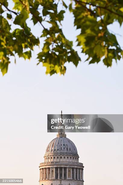 st paul's cathedral seen under trees - place of worship stock pictures, royalty-free photos & images
