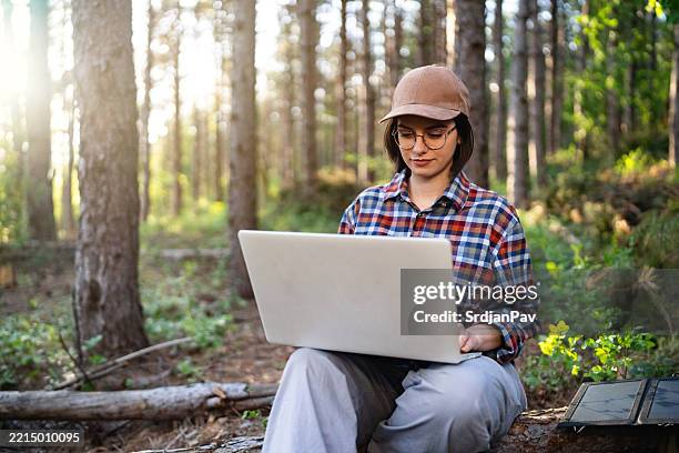 woman working on a laptop in a serene forest setting during sunlight - ecologist stock pictures, royalty-free photos & images