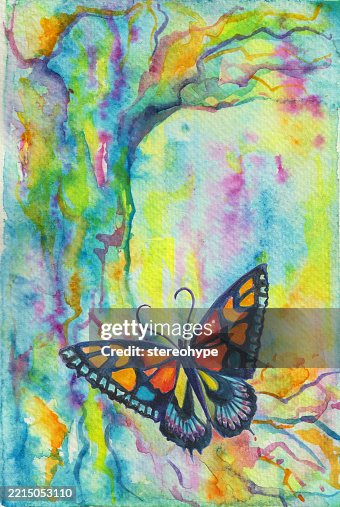Butterfly tree Butterfly tree