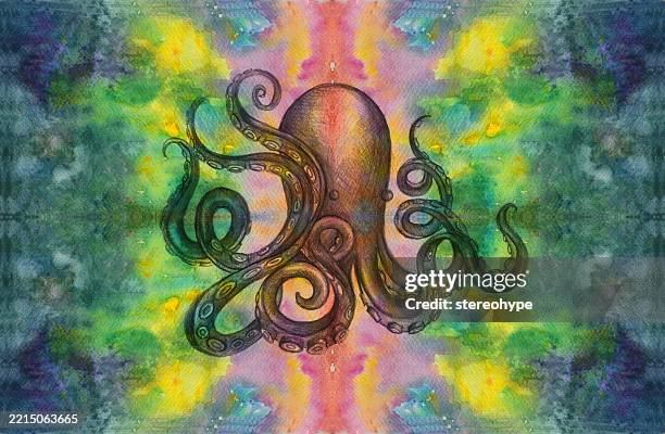 supernova octopus - veined octopus stock illustrations