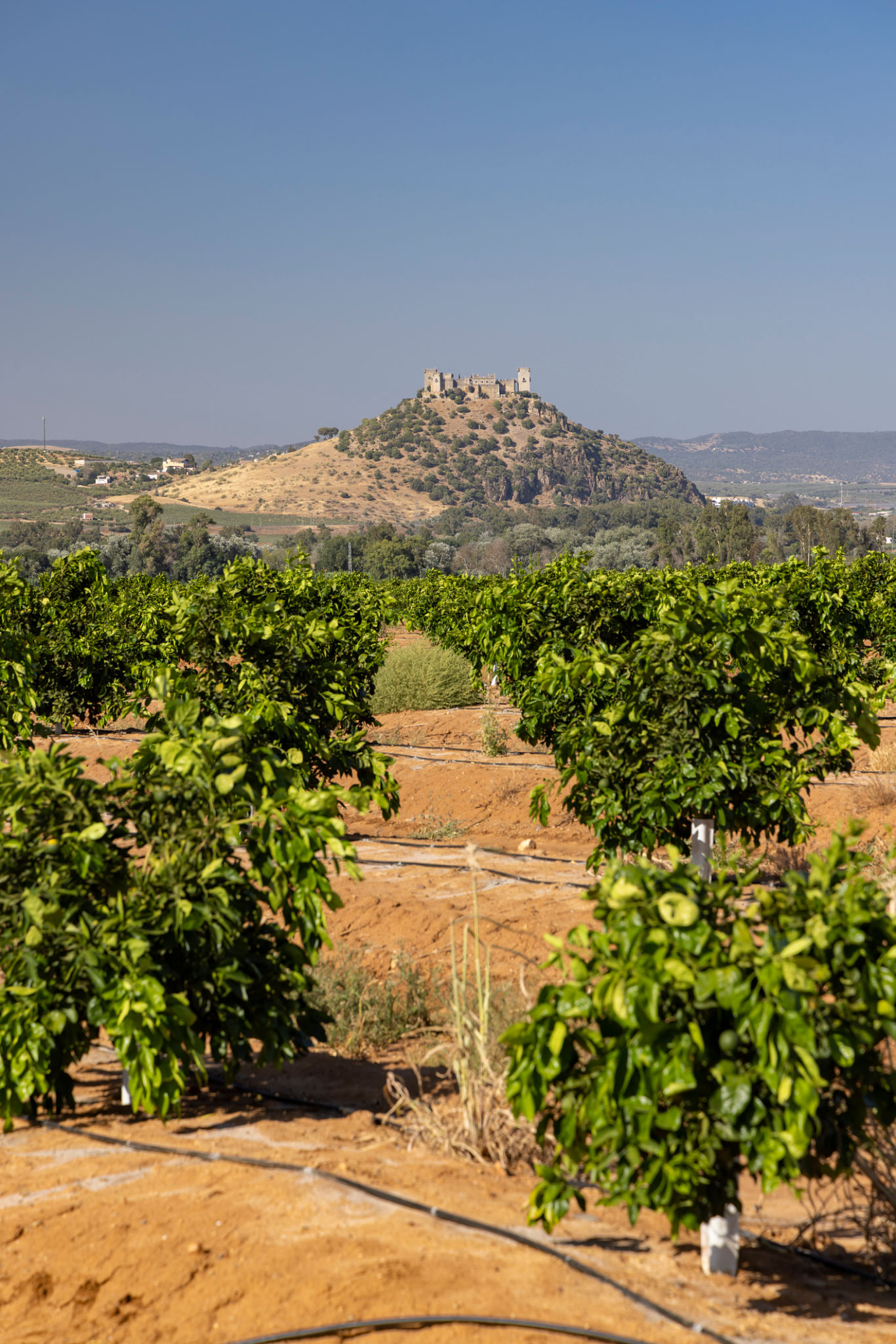 paesaggio rurale