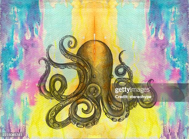 octopus flow - veined octopus stock illustrations