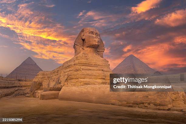 the great sphinx statue at giza - civilização antiga imagens e fotografias de stock