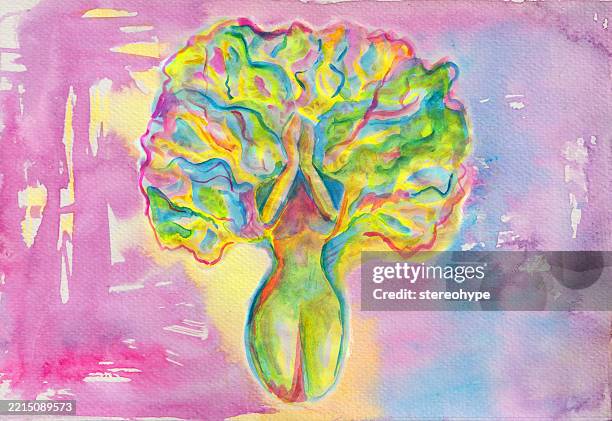 free the tree lady - rainforest canopy stock illustrations