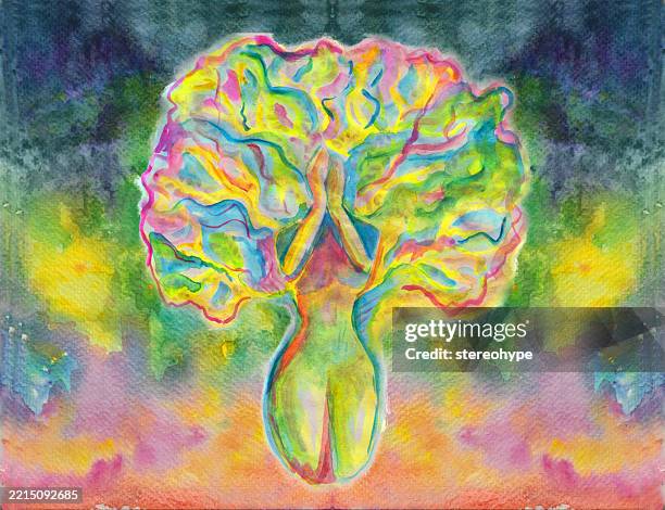 aurora tree lady - rainforest canopy stock illustrations