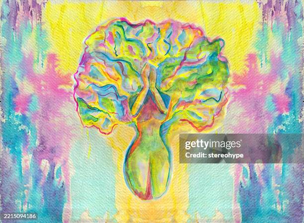 tree lady vividness - rainforest canopy stock illustrations