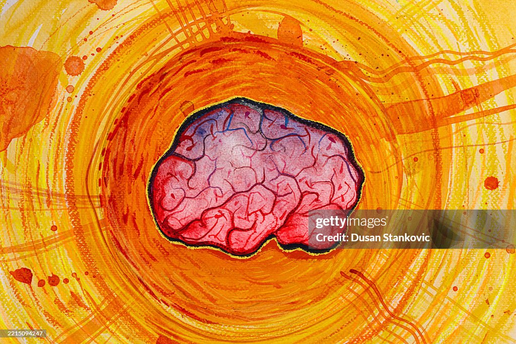 Human Brain With Radiant Sun At Its Core High-Res Vector Graphic ...