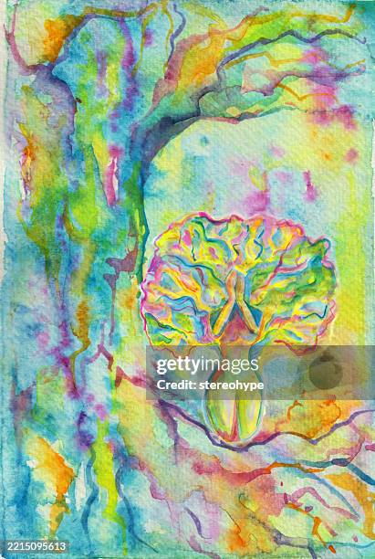 tree lady pain - rainforest canopy stock illustrations