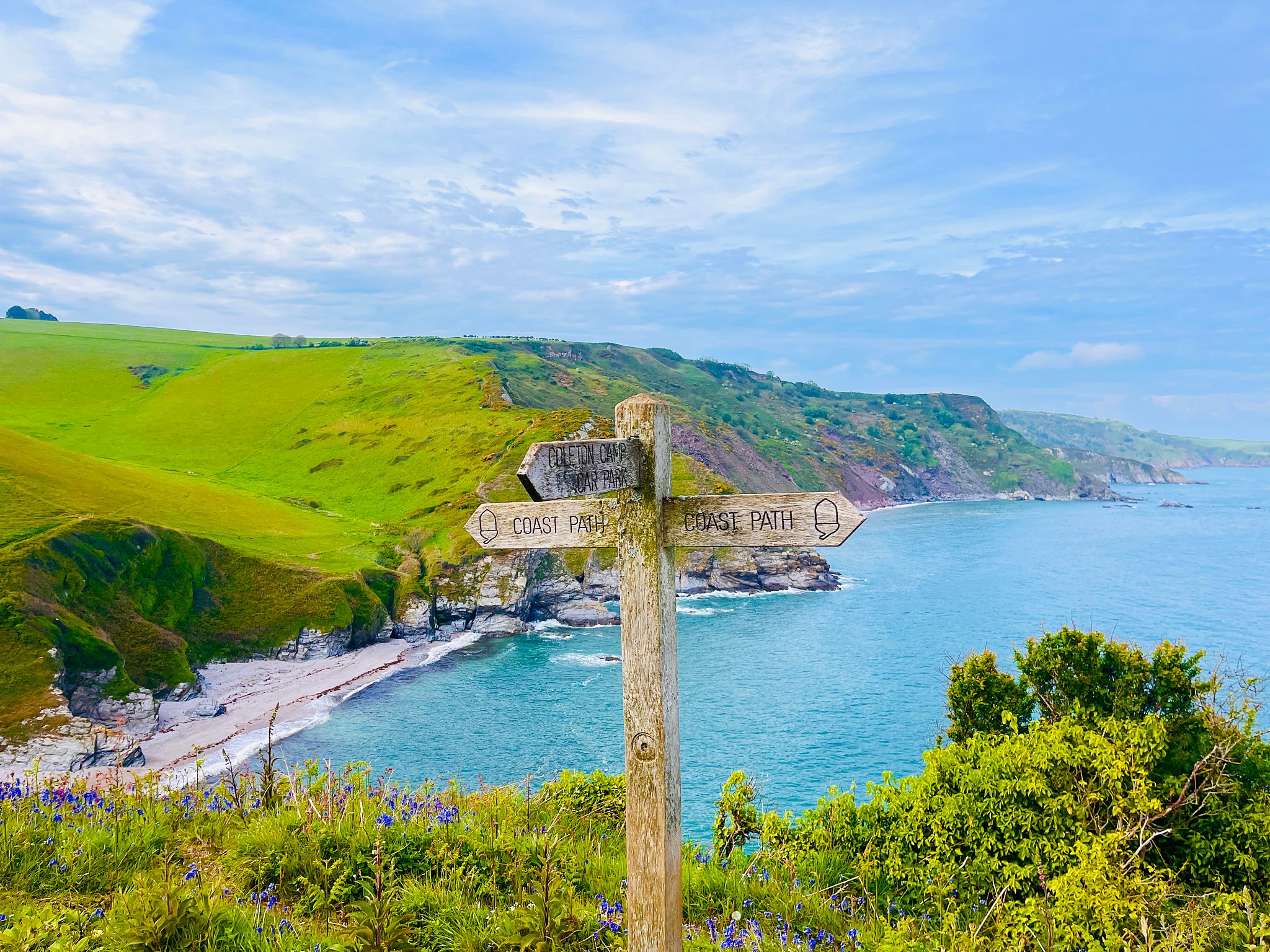 dog walking path Devon