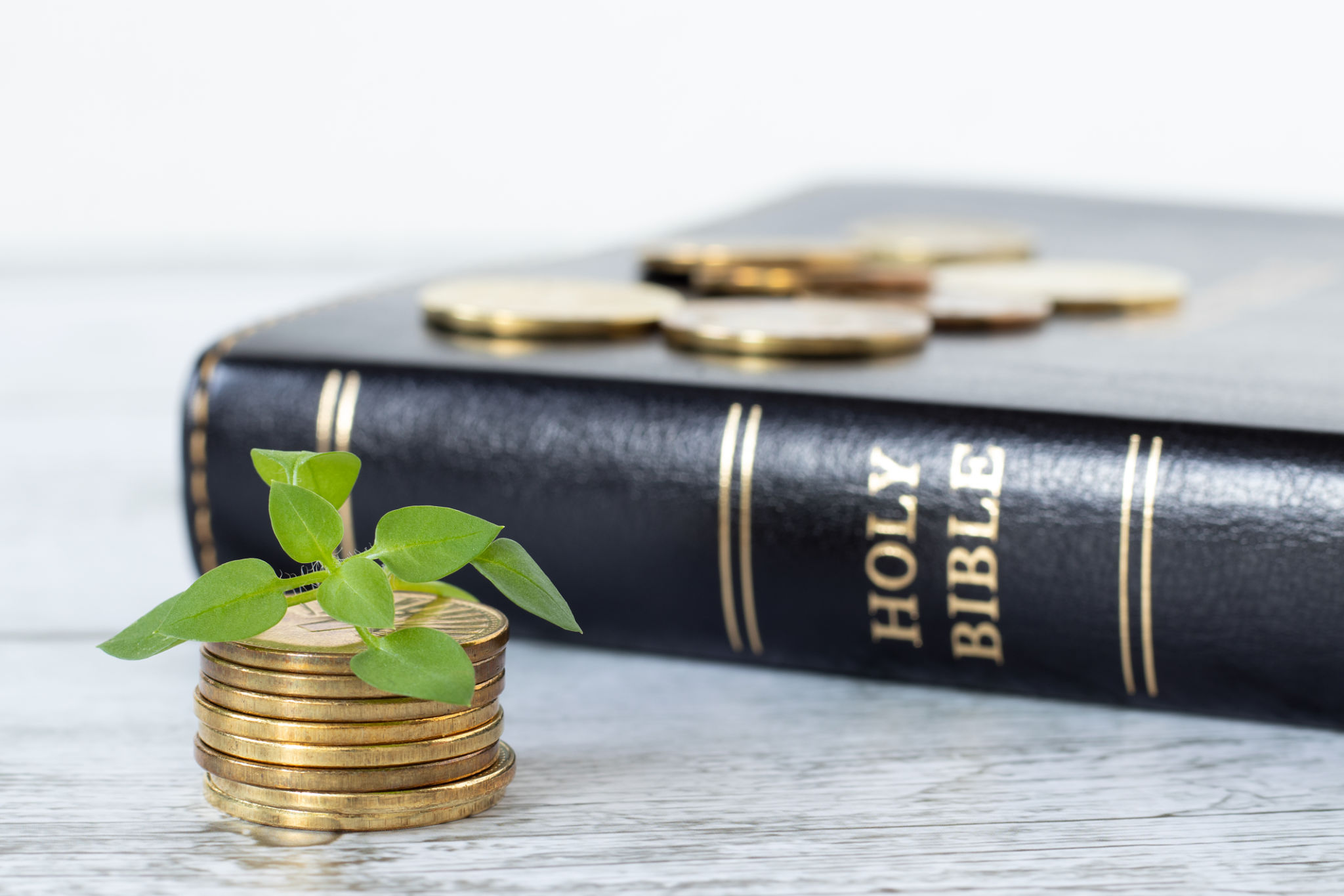 budget bible