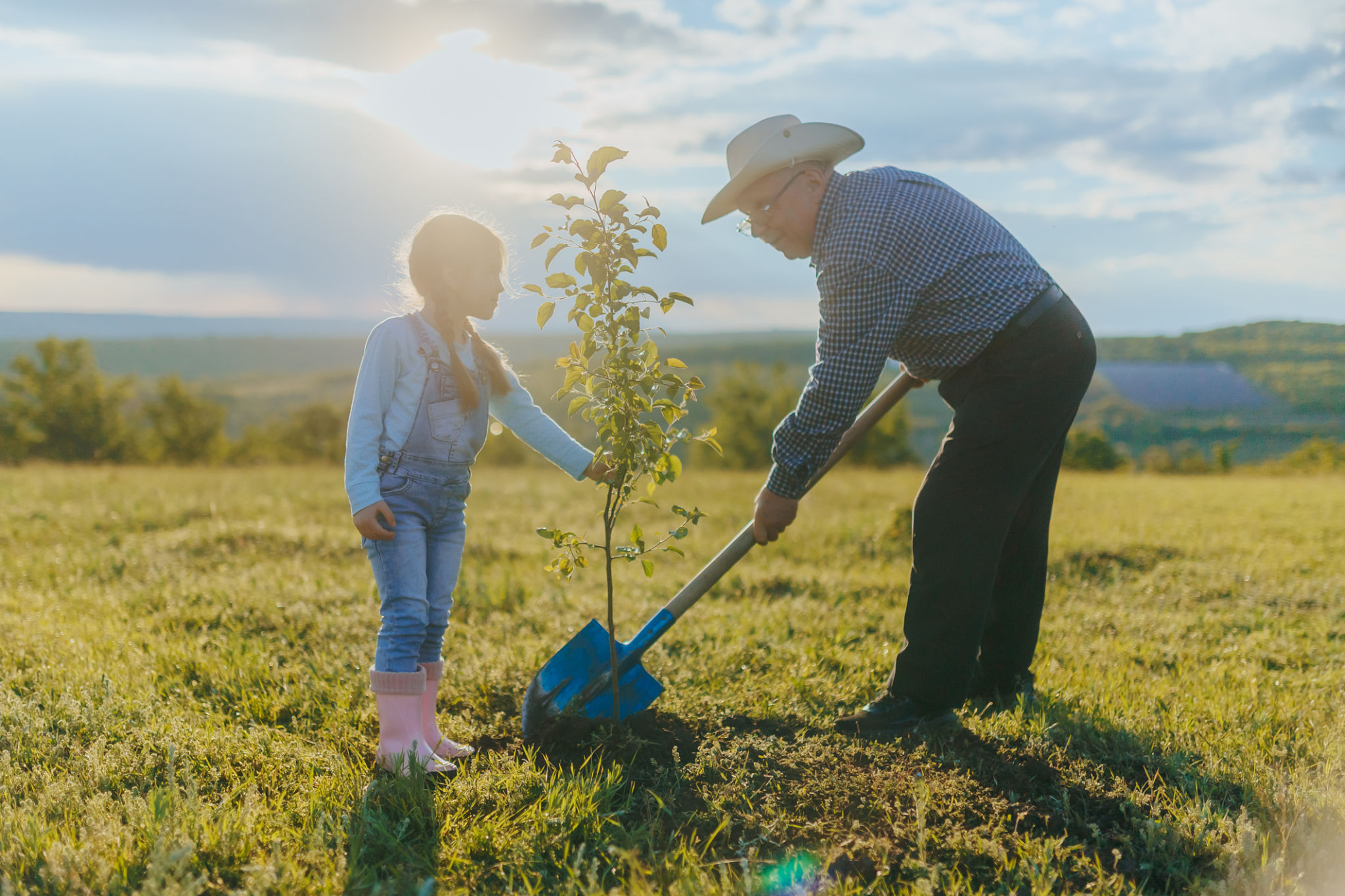 tree planting