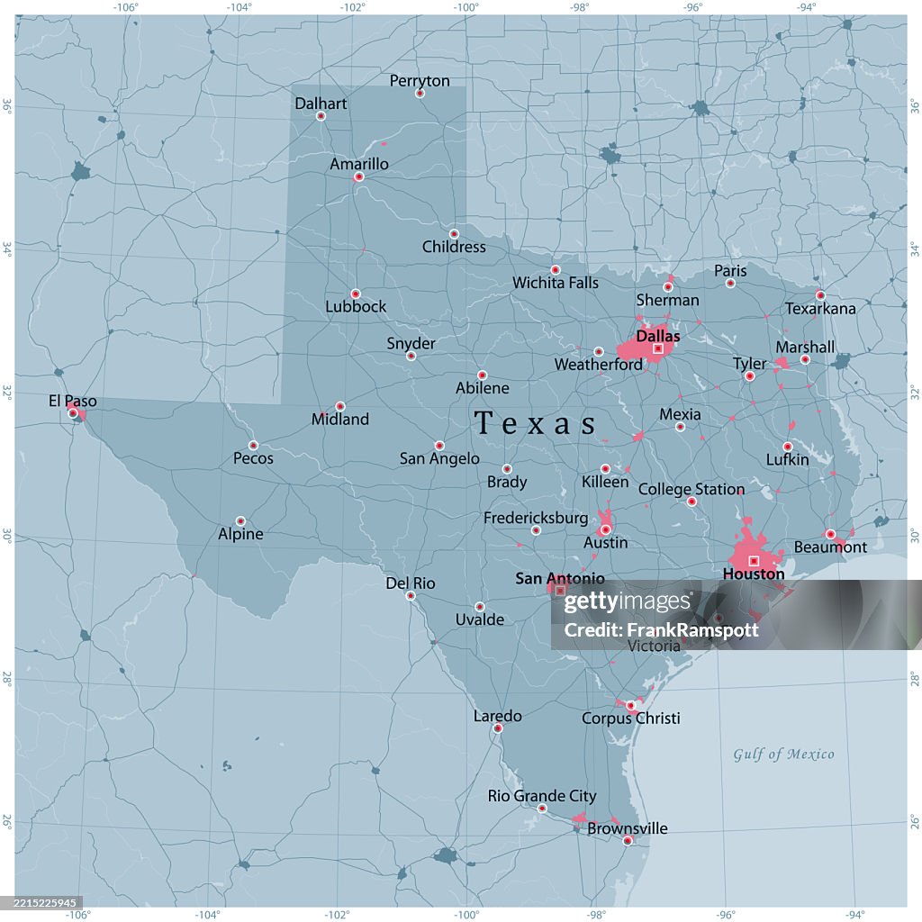 Texas US State Vector Road Map Grey