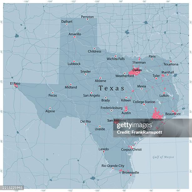 Texas Us State Vector Road Map Grey High-Res Vector Graphic
