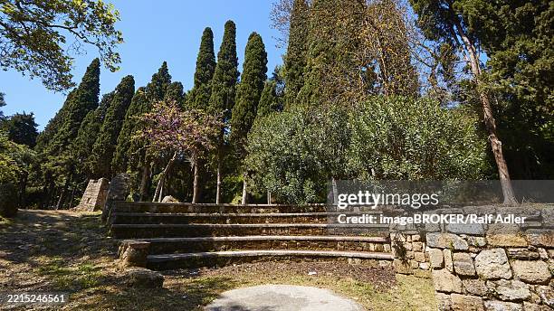 Ampitheatre Rhodes 283 Small Amphitheater Stock Photos, High-Res Pictures, and Images ...