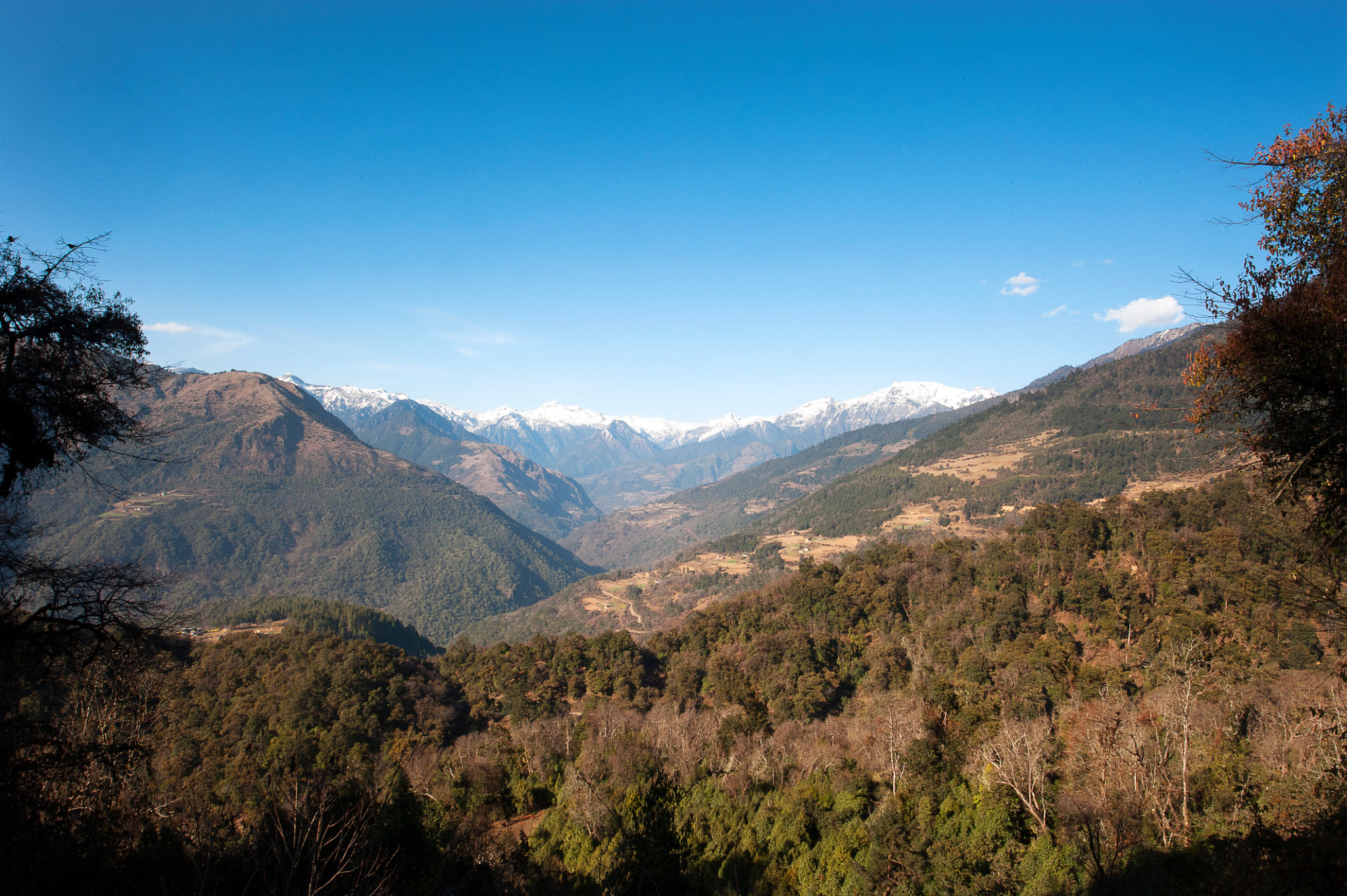 bhutan culture