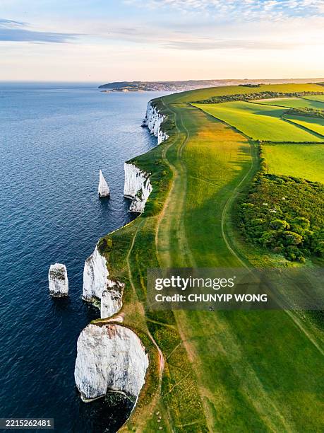 aerial view of old harry rocks on the isle of purbeck in dorset, england - south west coast path stockfoto's en -beelden