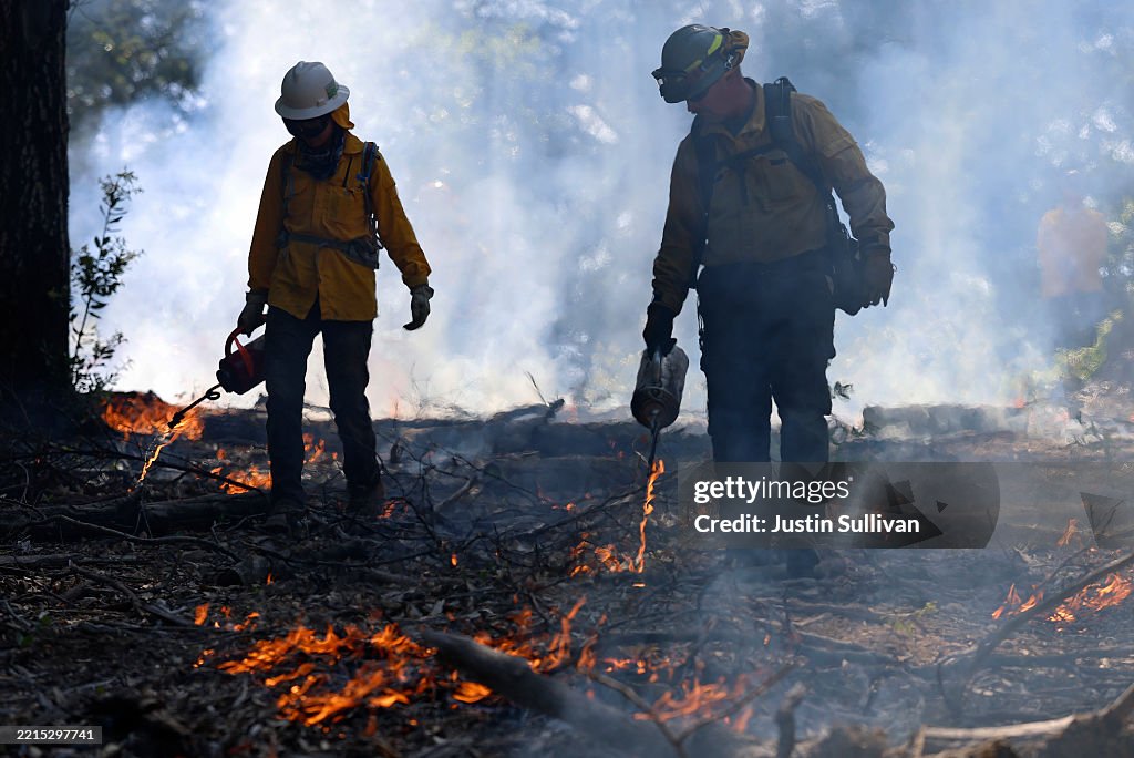 Controlled Burns In California Aim To Mitigate Wildfire Spread