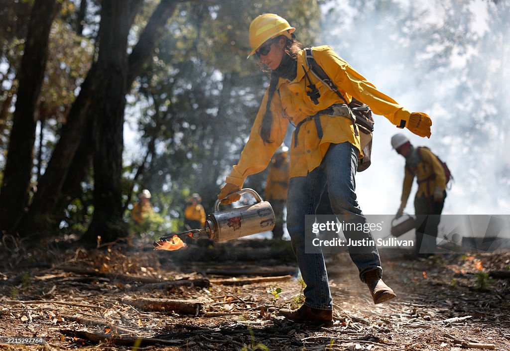 Controlled Burns In California Aim To Mitigate Wildfire Spread