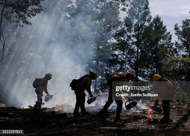 Firefighters train Prescribed Burn Association members in using a drip torch to ignite a controlled burn at the Pacific Union College Forest on May...