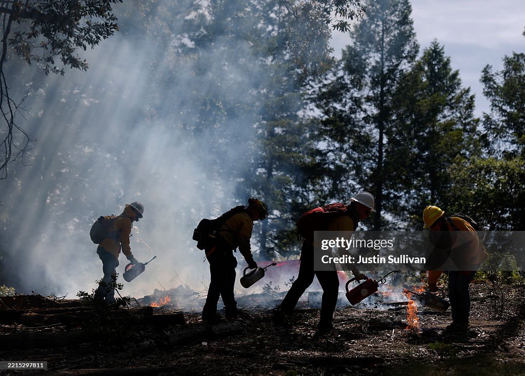 Controlled Burns In California Aim To Mitigate Wildfire Spread