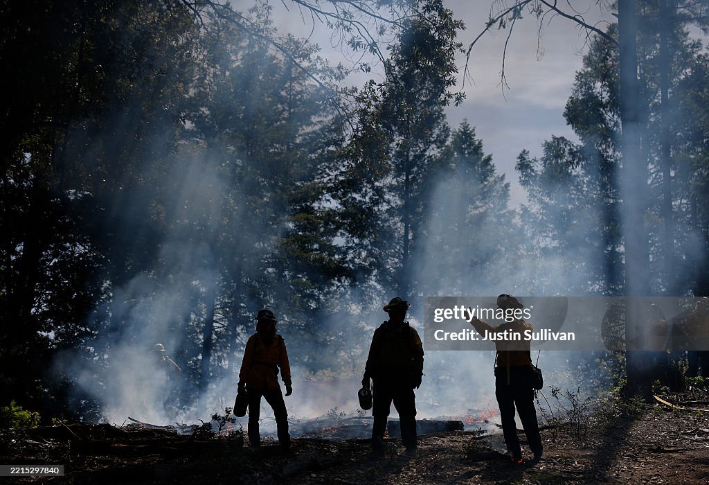 Controlled Burns In California Aim To Mitigate Wildfire Spread