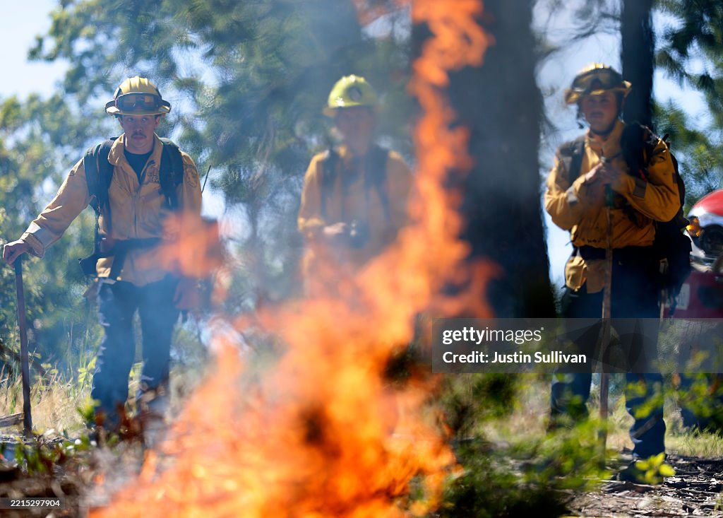 Controlled Burns In California Aim To Mitigate Wildfire Spread