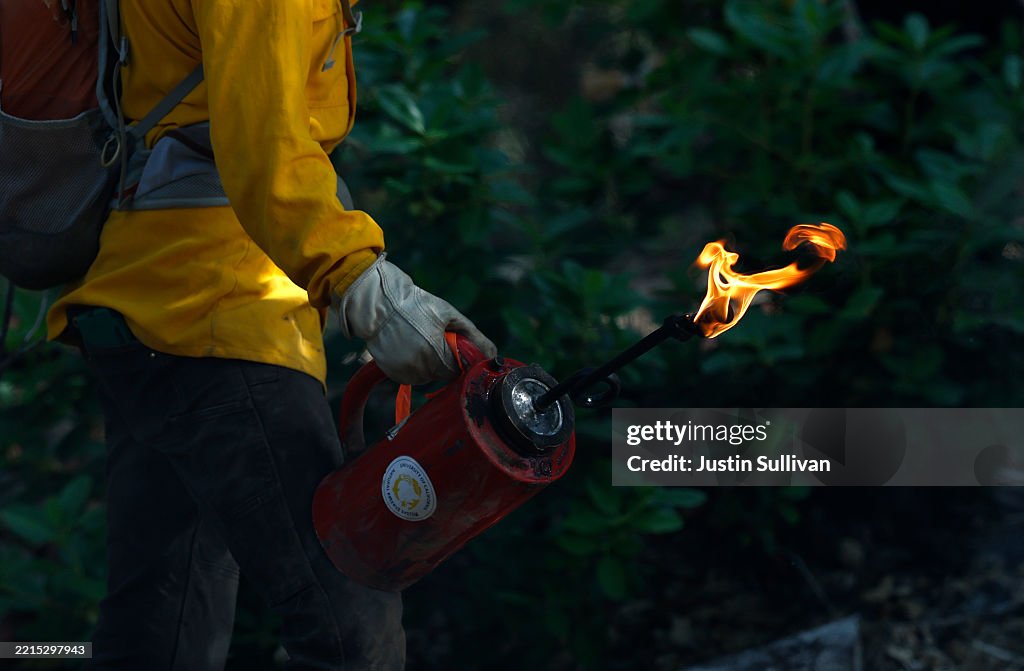 Controlled Burns In California Aim To Mitigate Wildfire Spread