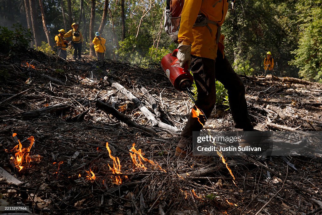 Controlled Burns In California Aim To Mitigate Wildfire Spread