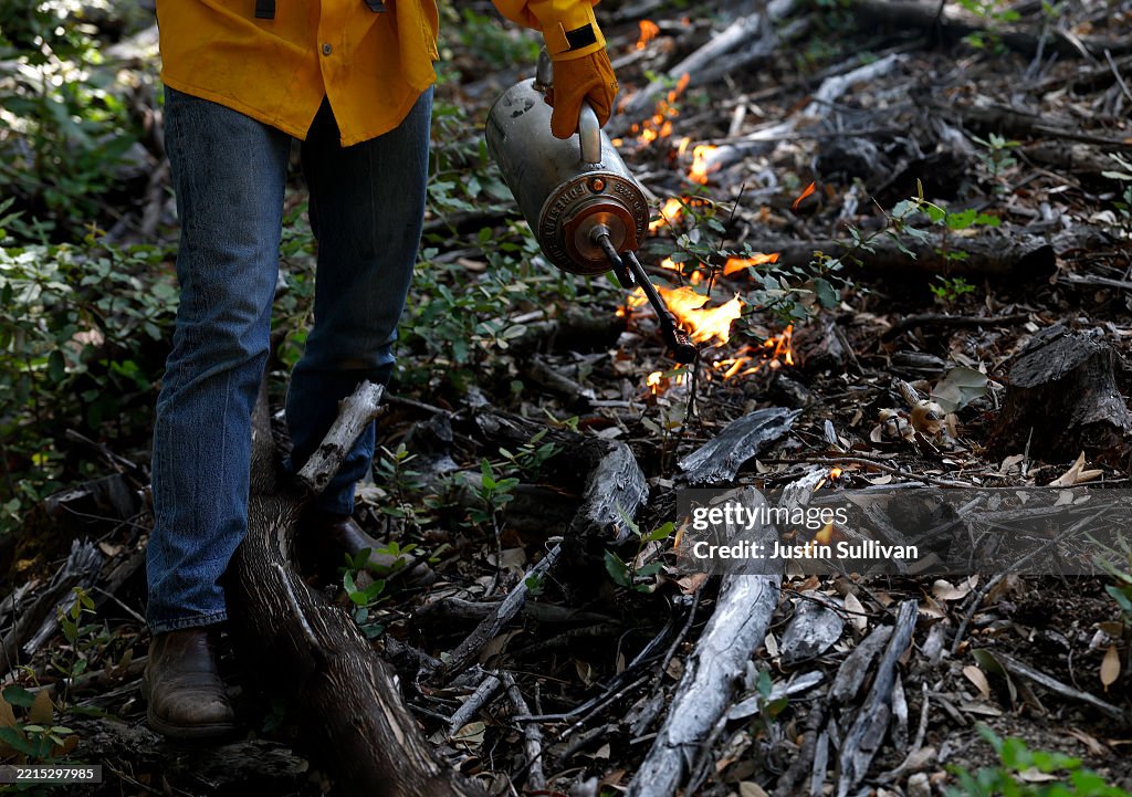 Controlled Burns In California Aim To Mitigate Wildfire Spread