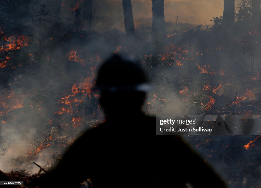 Controlled Burns In California Aim To Mitigate Wildfire Spread