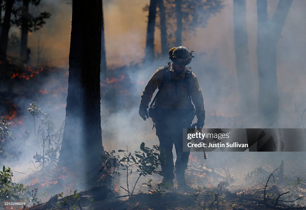 Controlled Burns In California Aim To Mitigate Wildfire Spread