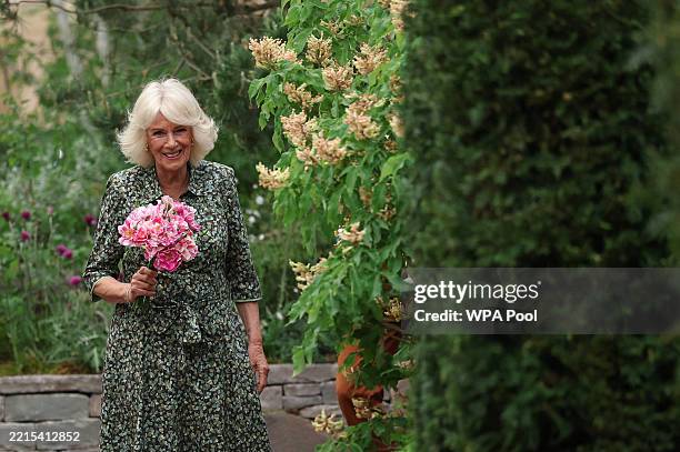 Queen Camilla holds roses called "The King's Rose", of David Austin Roses, during a visit to the RHS Chelsea Flower Show at Royal Hospital Chelsea on...