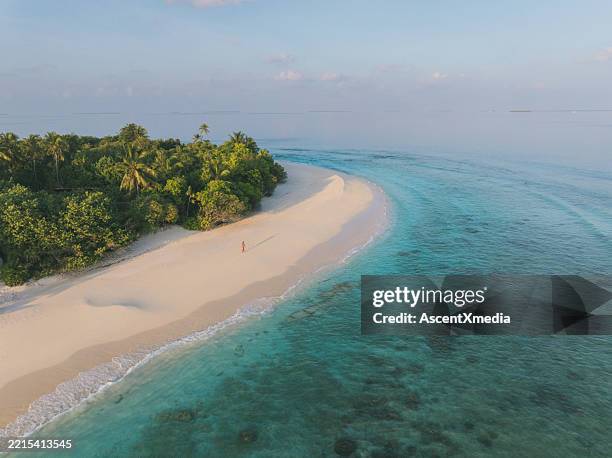aerial view of young woman performing yoga moves on beach - maldivas imagens e fotografias de stock