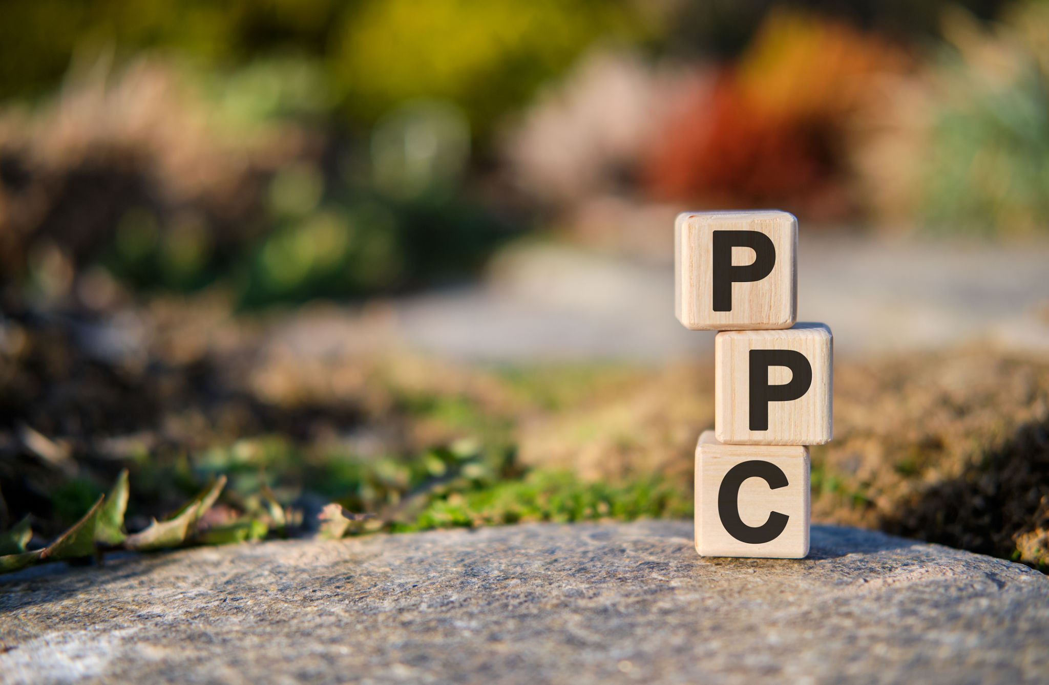 ppc campaign
