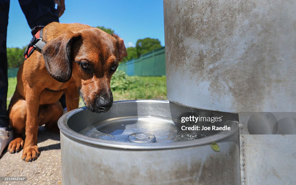 Florida Becomes Second State To Ban Fluoride In Drinking Water