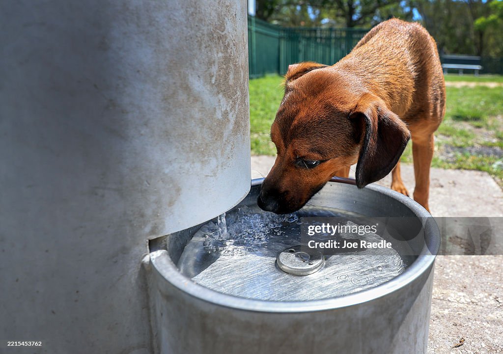 Florida Becomes Second State To Ban Fluoride In Drinking Water