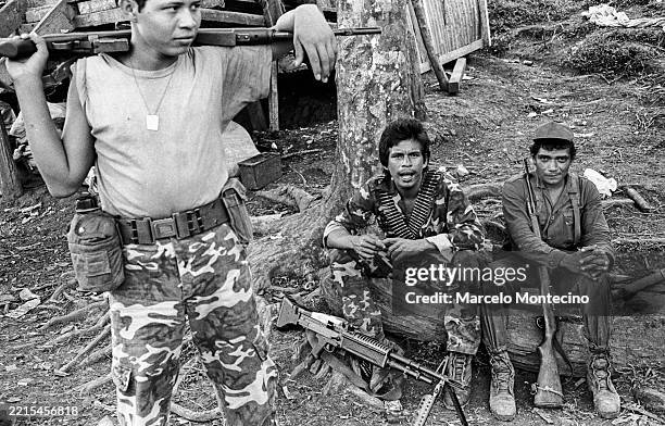 Los Contras 249 Nicaragua Contras Stock Photos, High-Res Pictures, and Images ...