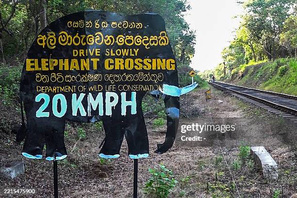 Signboard alerting elephant crossing is pictured near the site of a train accident in Habarana, on May 20, 2025. A Sri Lankan express train killed an...