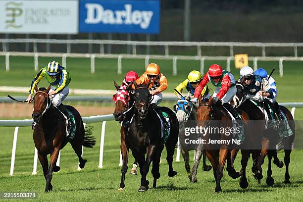 Muswellbrook Rodeo 291 Muswellbrook New South Wales Photos & High Res Pictures - Getty Images