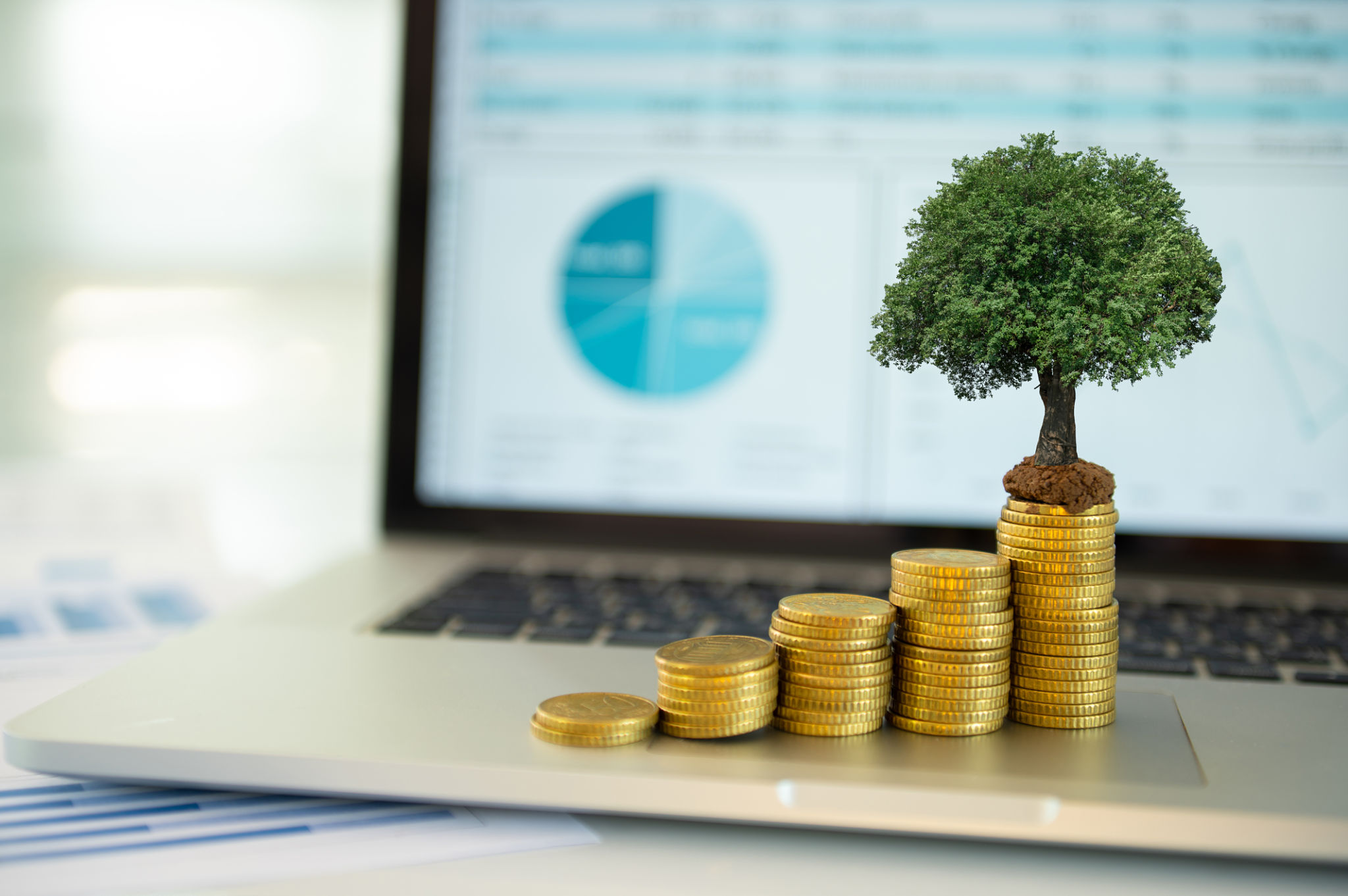 mutual funds