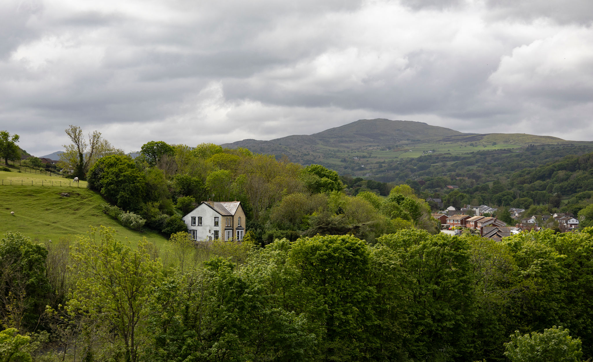 Welsh cottage