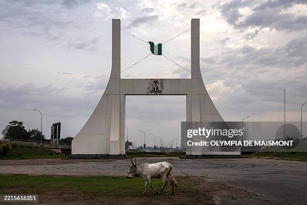 Cow walks past Abuja city gate in Abuja, on May 20, 2025.