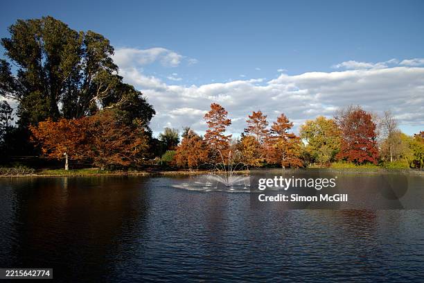 nerang pool at commonwealth park, parkes, canberra, australian capital territory, australia - australian capital territory stock pictures, royalty-free photos & images