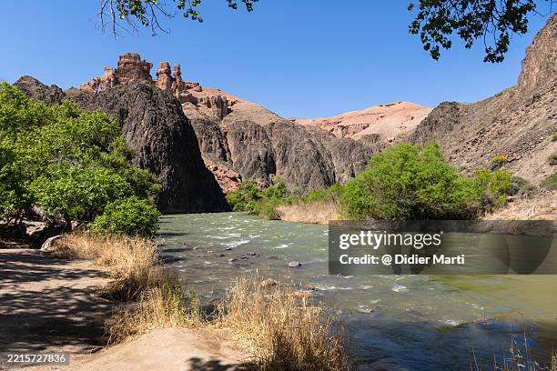river in the charyn canyon in kazakhstan - charyn river stock pictures, royalty-free photos & images